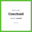 conchoid เขียนเป็นคำไทยว่าอะไร?, คำศัพท์ภาษาอังกฤษ conchoid ทับศัพท์เป็น คอนคอยด์