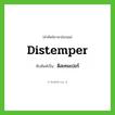 distemper เขียนเป็นคำไทยว่าอะไร?, คำศัพท์ภาษาอังกฤษ distemper ทับศัพท์เป็น ดิสเทมเปอร์