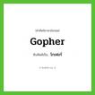 Gopher เขียนเป็นคำไทยว่าอะไร?, คำศัพท์ภาษาอังกฤษ Gopher ทับศัพท์เป็น โกเฟอร์