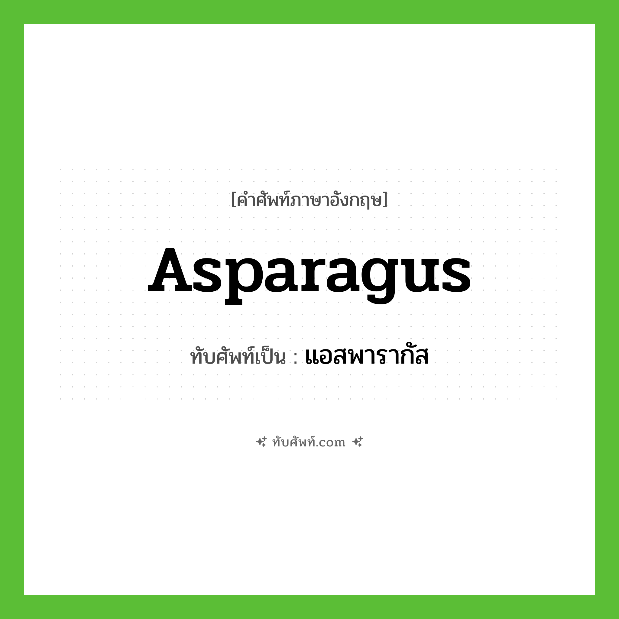 asparagus เขียนเป็นคำไทยว่าอะไร?, คำศัพท์ภาษาอังกฤษ asparagus ทับศัพท์เป็น แอสพารากัส